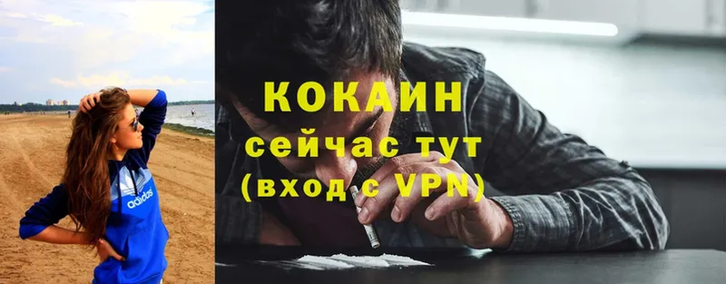 Кокаин FishScale  где можно купить   darknet какой сайт  Дрезна 