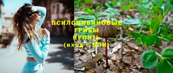 таблы Михайлов