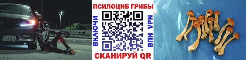 где найти Дрезна гидра ТОР Галлюциногенные грибы Cubensis